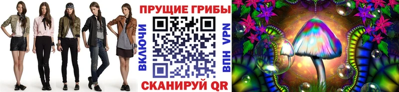 купить закладку  Карпинск  Псилоцибиновые грибы мицелий 